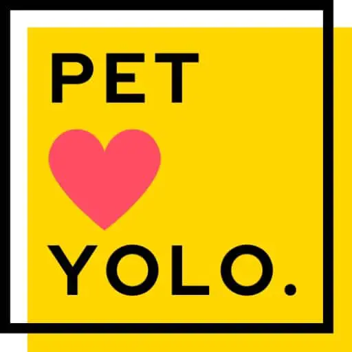 NL Pet YOLO