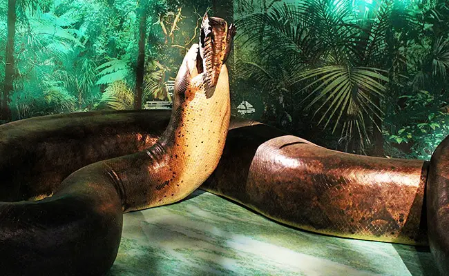 titanoboa 073757