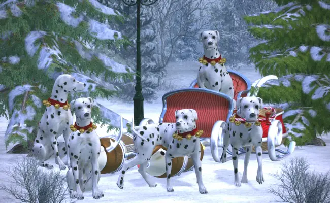 dalmatiens 093027 650 400