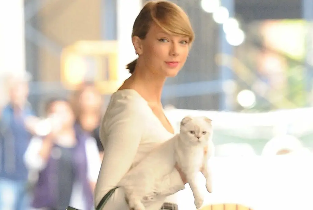 1700637624 taylor swift cat names 042af8f902bd4ebdb3a58bb96eec835d