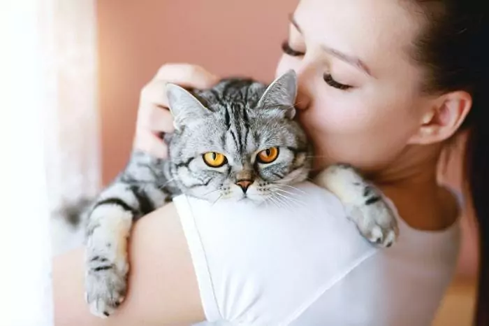 Een hartverwarmend moment tussen een kat en een mens, waarin hun bijzondere band en verbinding wordt getoond.