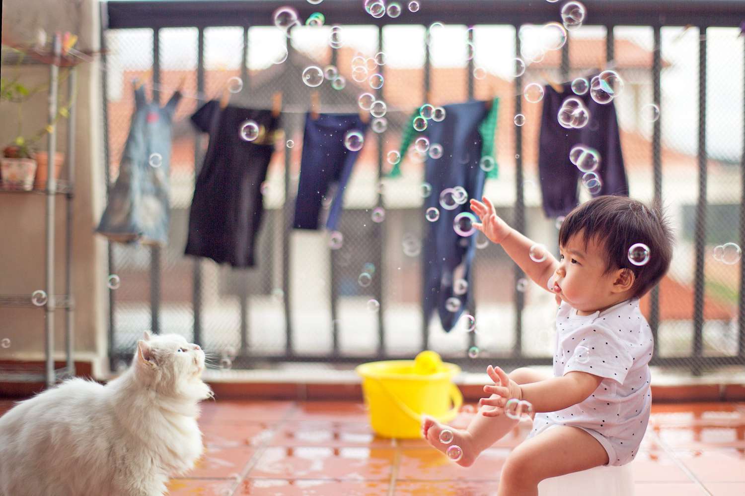 zomerplezier met peuter, bubbels en zijn kat;  zomer kattennamen