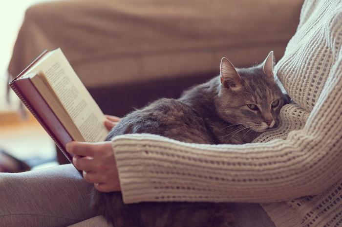 vrouw las boek kat zit op schoot