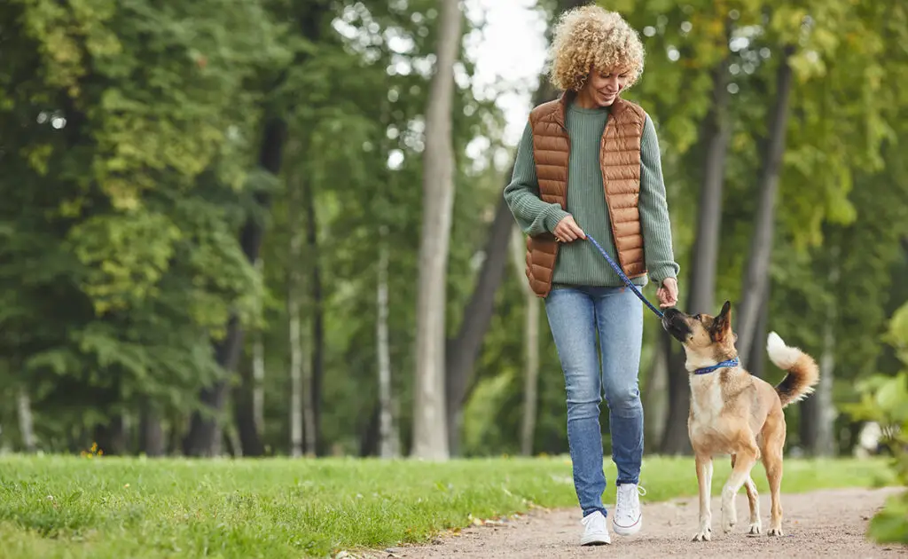 promener chien 171248 1200 738