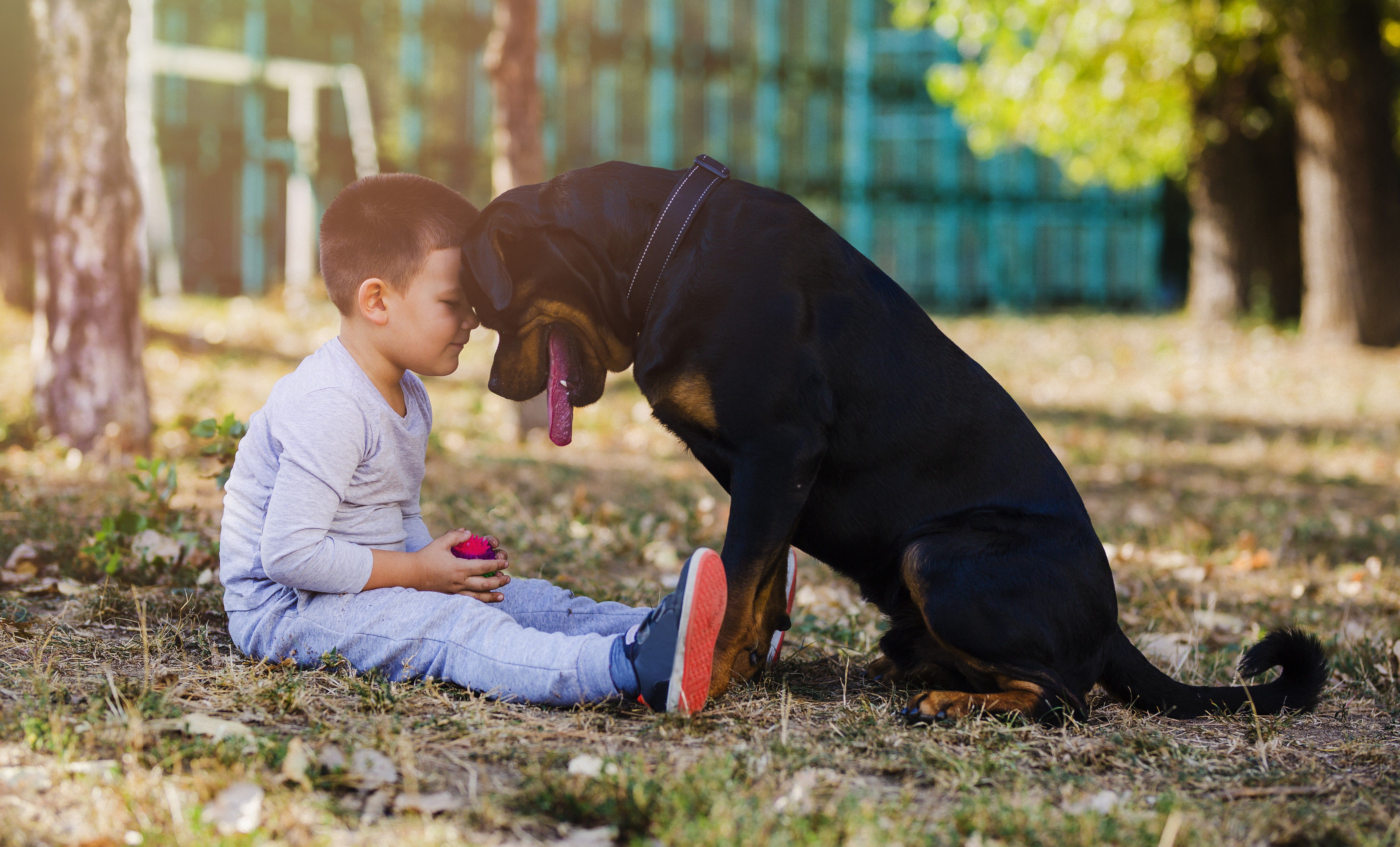 Jongen en zijn grote hond zitten op de grond in de achtertuin