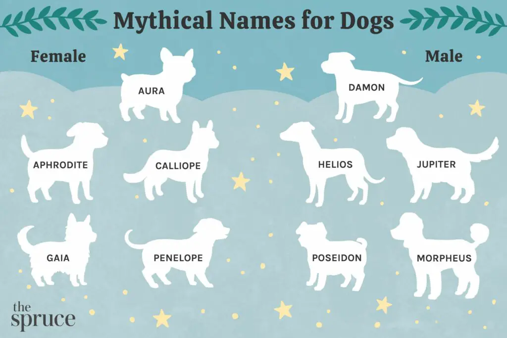 mythical names for dogs 4845296 V1 442679bc98664a60985f48384775e081