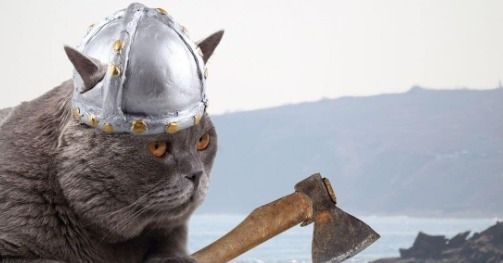 Norse Cat Names