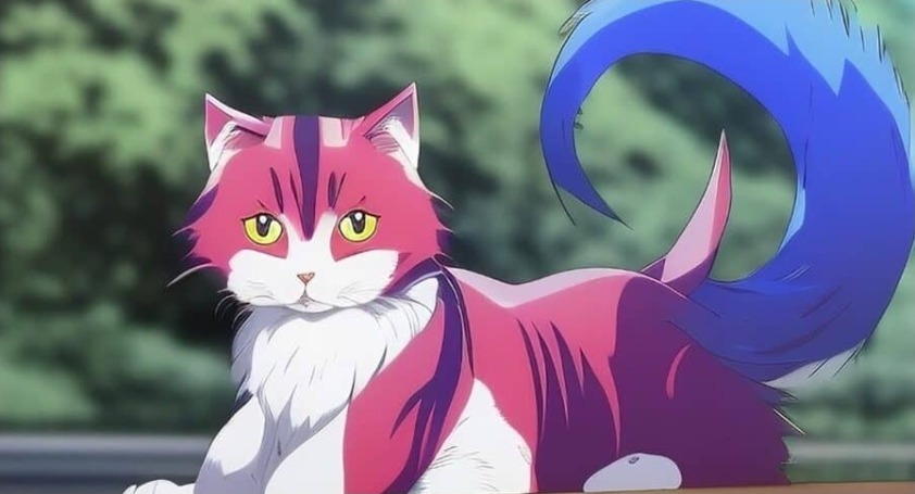 Anime kattennamen 1