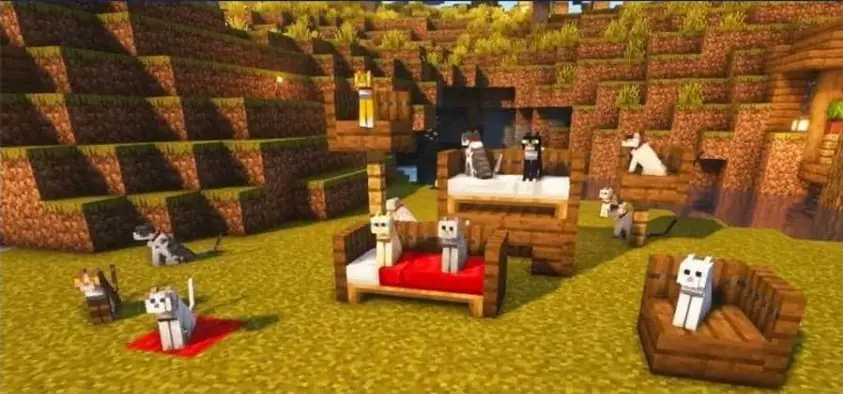 Minecraft kattennamen