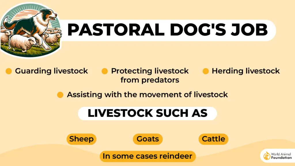 Het werk van een pastorale hond