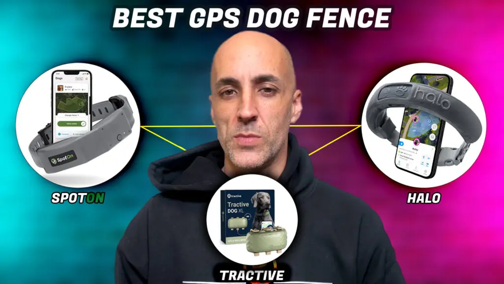 Best GPS DOG Fence