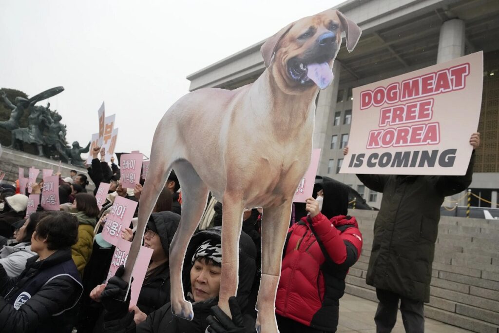 Eten Koreanen honden?