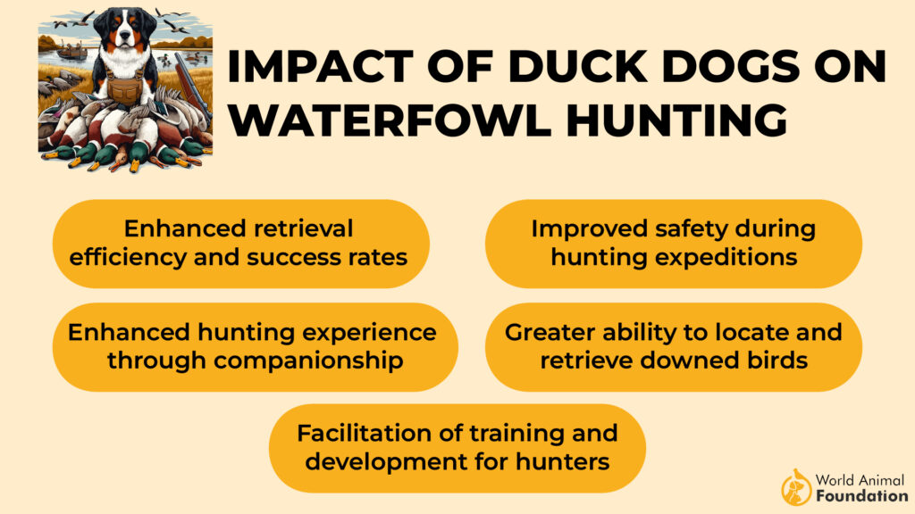 Impact van eendenhonden op de jacht op watervogels