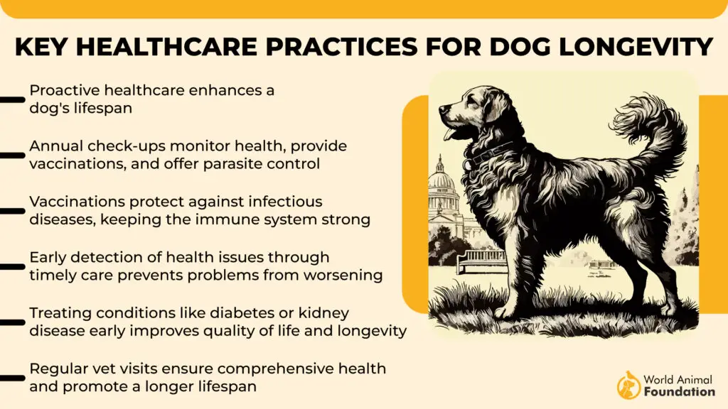 Belangrijke gezondheidszorgpraktijken voor Dog Longevit