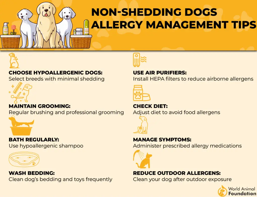 Tips voor allergiebeheer voor niet-uitscheidende honden