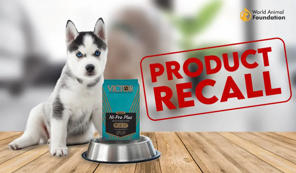 1732637420 Victor Dog Food 1