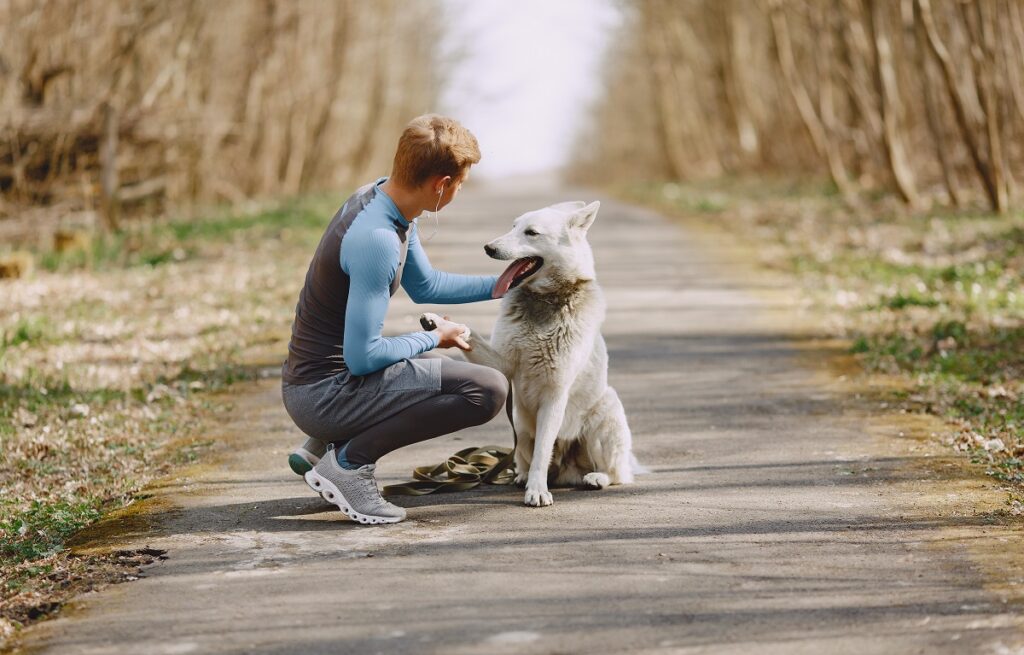 Hoe honden de beste vrienden van de mens zijn geworden