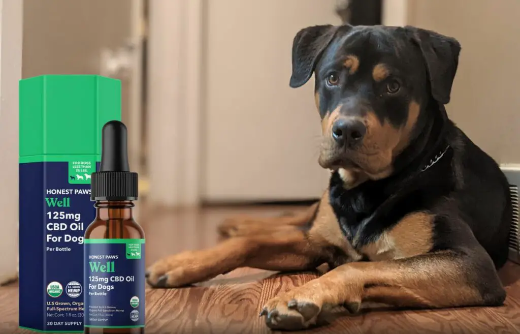 Eerlijke Paws CBD-olie