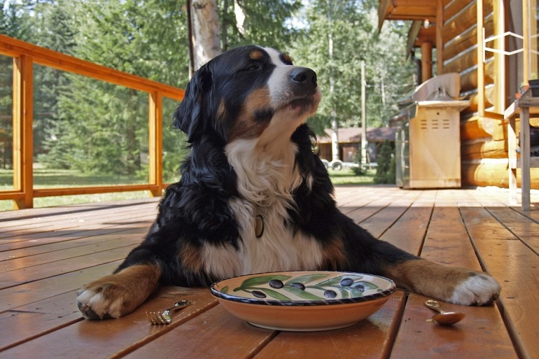 hoeveel kost eten per maand
