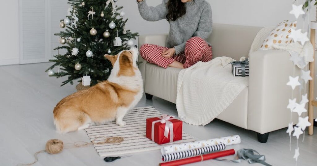 honden koel houden tijdens hittegolf
