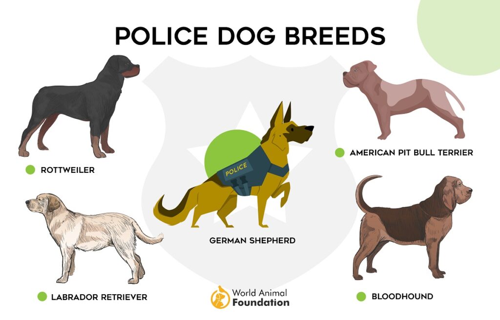 police dogs