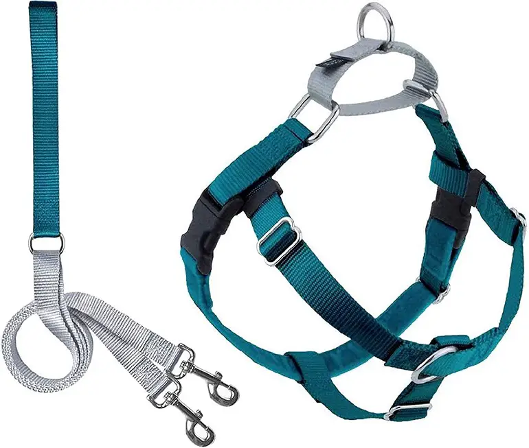 beste leash trainingshalsband