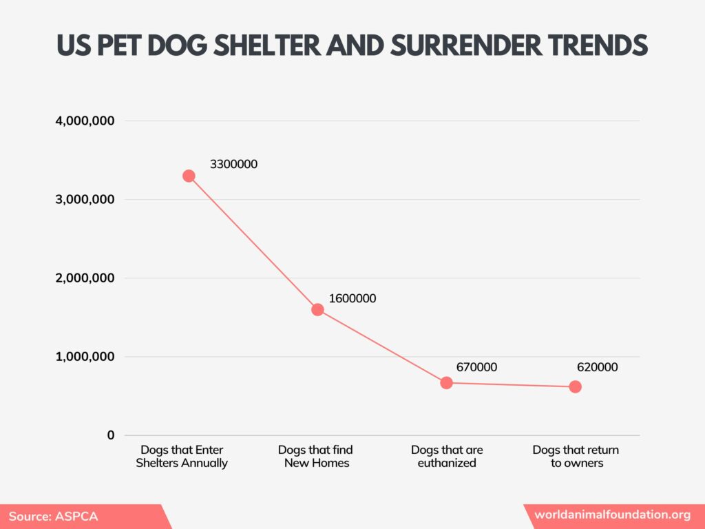 honden in de VS