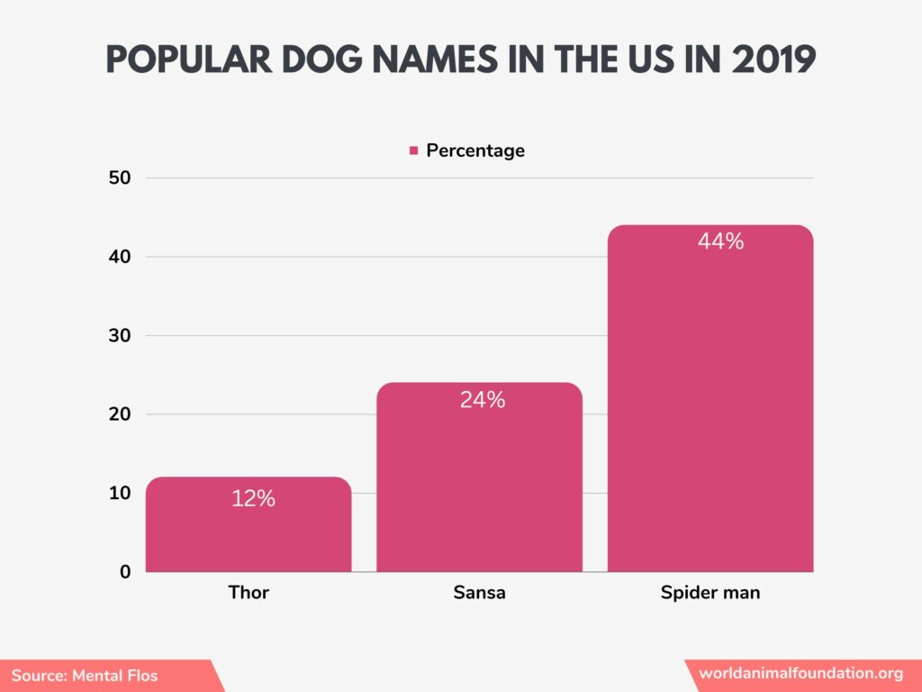 honden in de VS