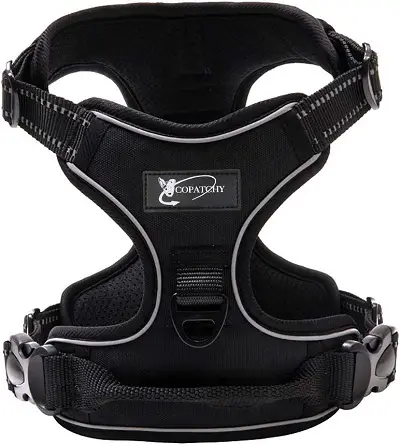 Copatchy Dog Harness review