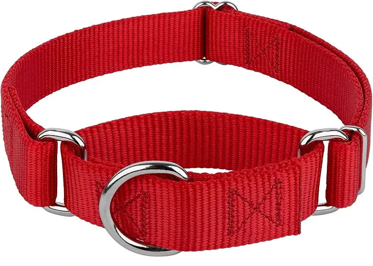 beste halsband of harnas voor honden die trekken