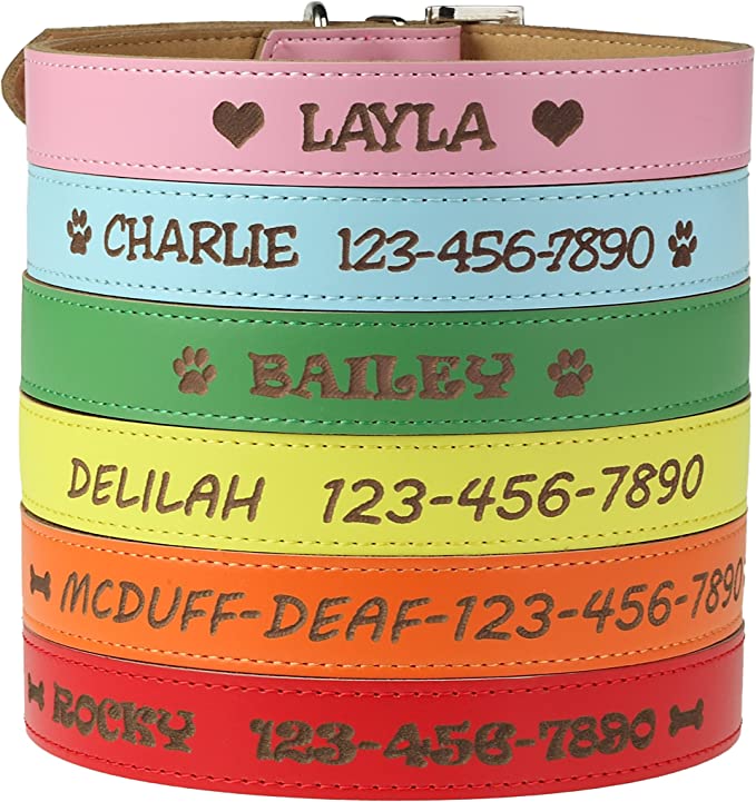 Custom Catch Personalized Dog Collar review 1