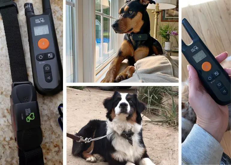 beste vibratiehalsband voor honden