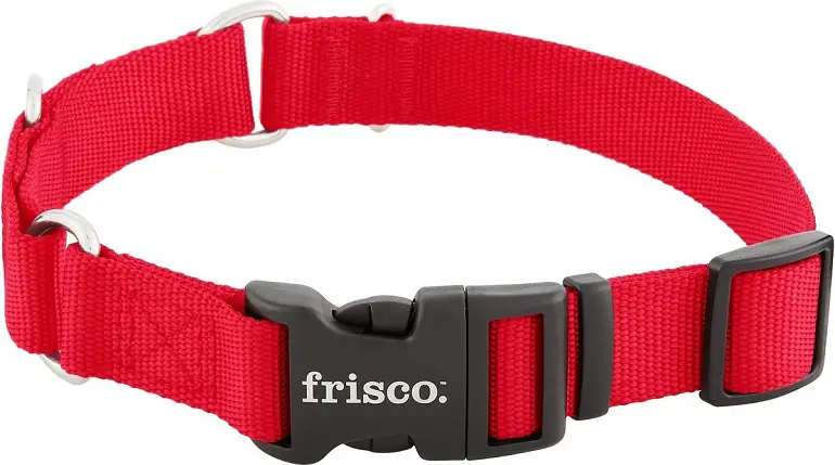 Frisco Solid Nylon Martingale Dog Collar with Buckle Review 2