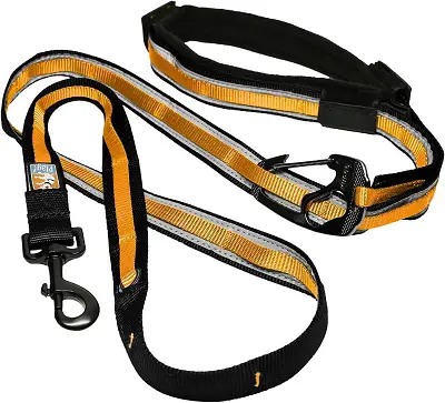 Kurgo Dog Leash Tie Out System REVIEW