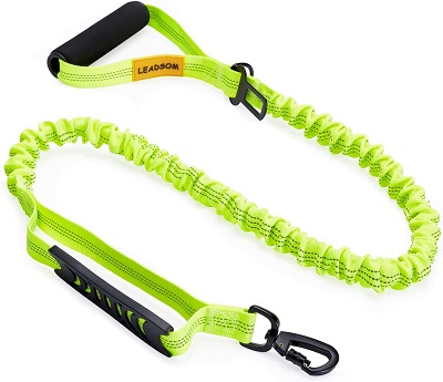 LEADSOM Dog Leash REVIEW