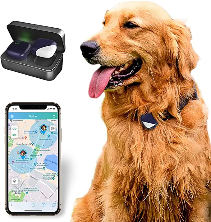 gps voor kleine honden