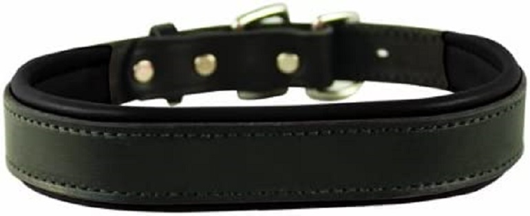 Perris Padded Leather Dog Collar review