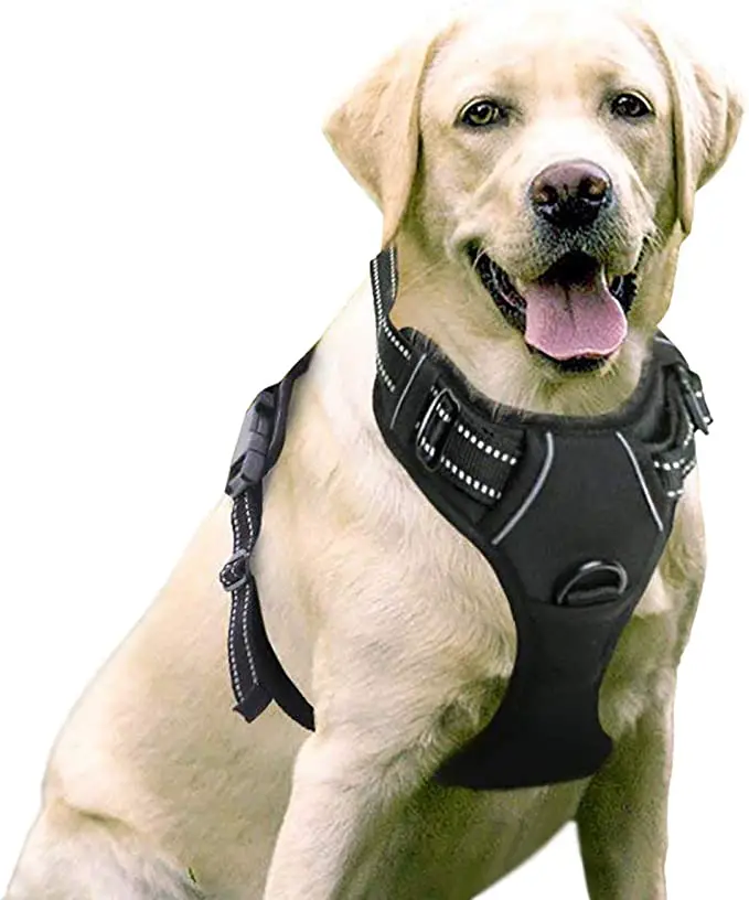 Rabbitgoo No Pull Dog Harness