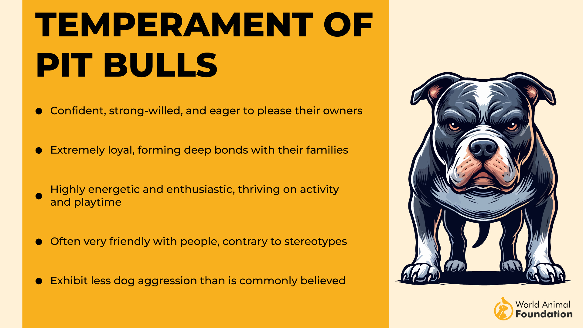 Temperament van Pit Bulls-01