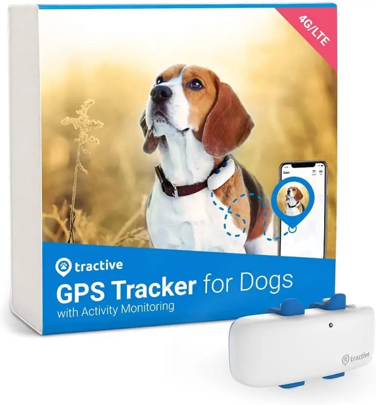 GPS voor kleine honden