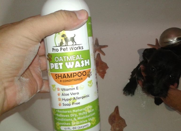 beste huskyshampoo