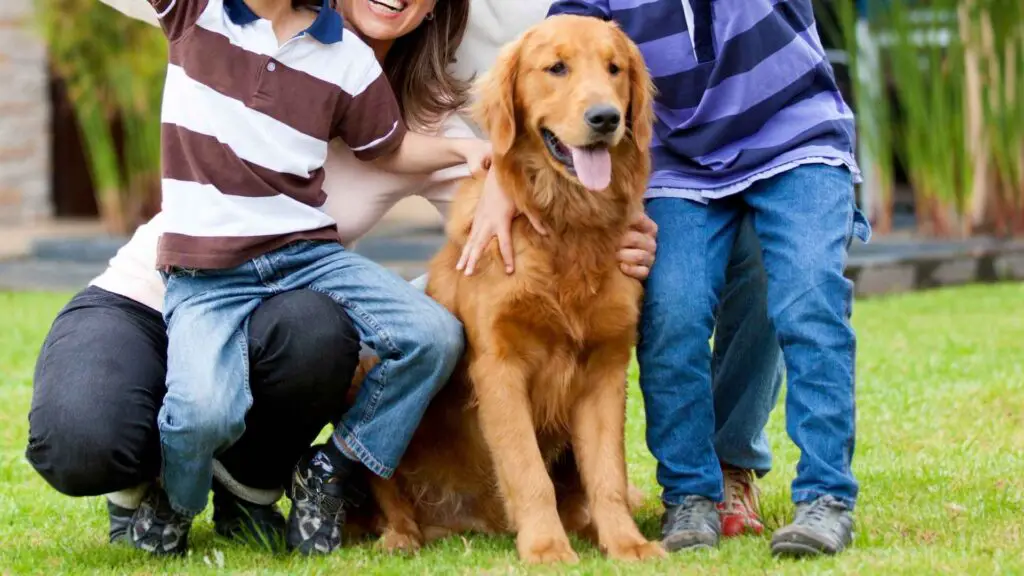 7 Family Protection Dog Breeds That Offer Safety and Love