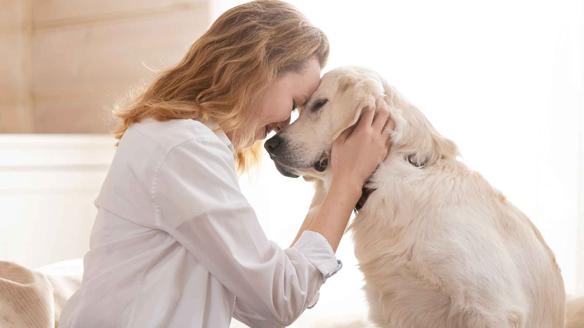 Best Therapy Dogs