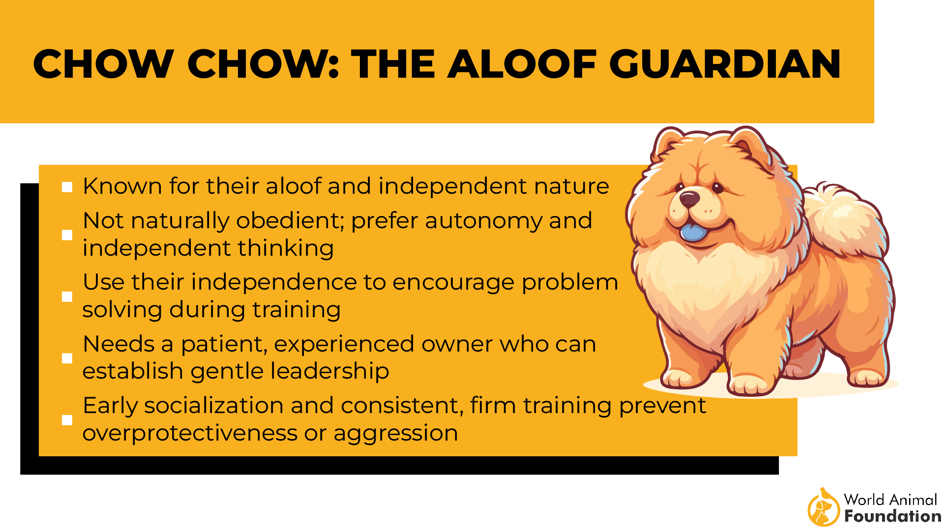 Chow Chow De afstandelijke Guardian-01