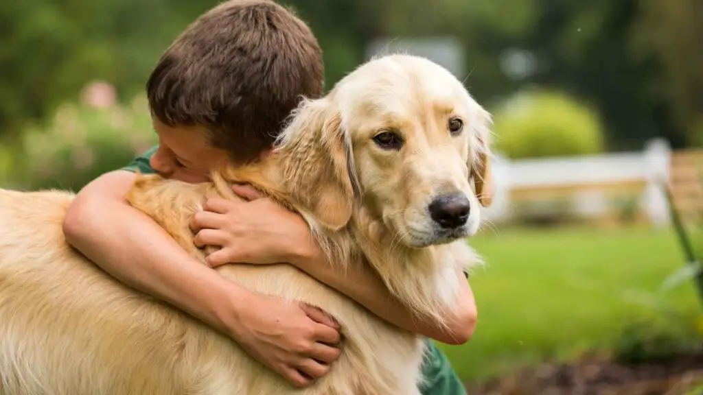 zijn Golden Retrievers goed met kinderen