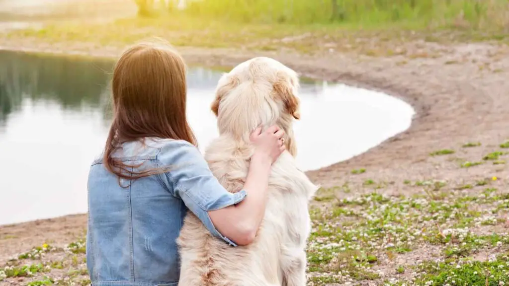 zijn Golden Retriever geweldige ondersteuningsgenoten