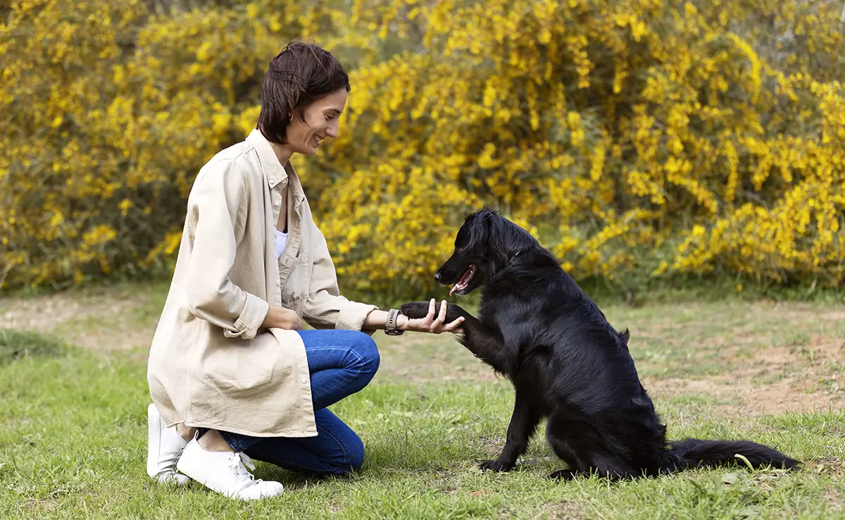 empathie chien 062551 1200 738
