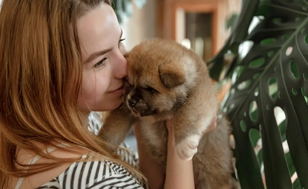 adopter chien 091011 1200 738