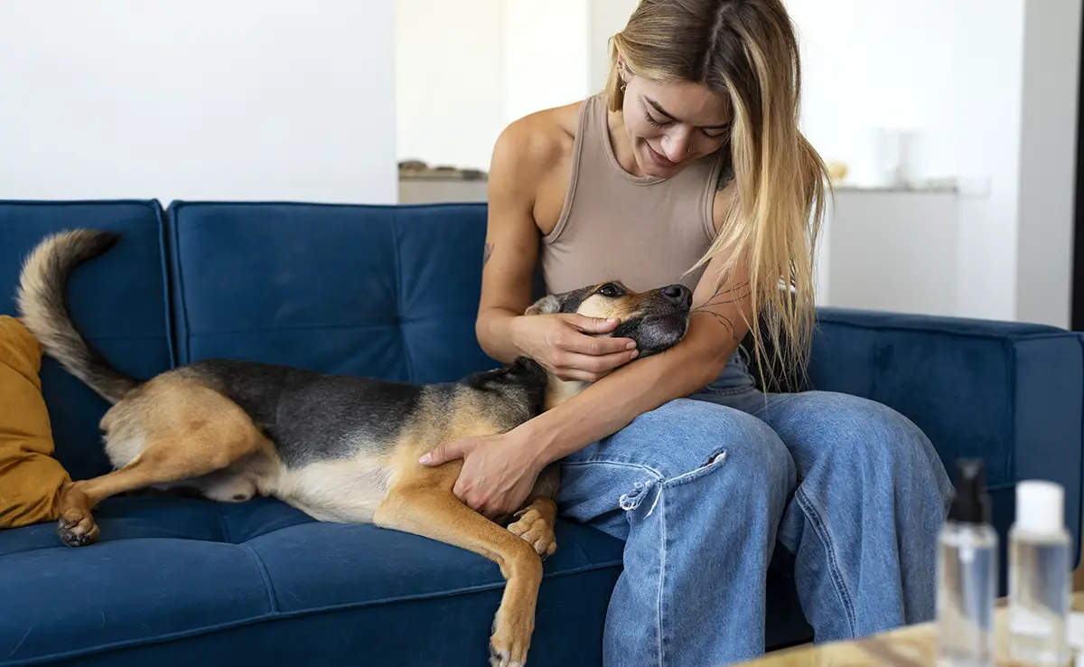 caresser chien 142644 1200 738