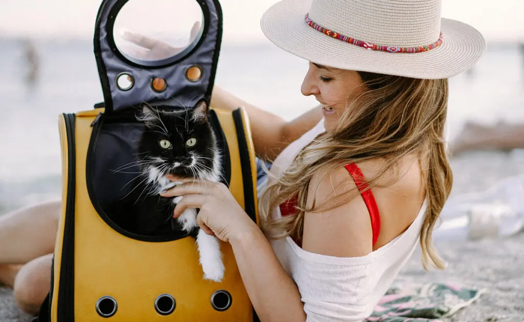 chat vacances 075806 1200 738